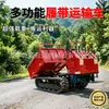 Transportador de orugas agrícola para terreno complejo, vehículo de escalada diésel operado manualmente para transportar madera, máquina pequeña de escalada de montaña