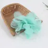 2025 Venta Caliente Amazonia Tocado de Plumas Accesorios para el Cabello de Novia Pasador de Malla Venta de Tocados para Mujer Especialmente Disponible en Muchos Países 1226