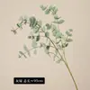 Folhas de Eucalipto Simuladas Galhos Longos Eucalipto Prateado Flores Artificiais Estilo Nórdico Ins Sala de Estar Mesa de Jantar Chão Vaso Alto Arranjo de Flores Ornamento