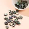 Jingde Joyería Concha de Abulón Natural Trébol de Cuatro Hojas Forma de Gota de Agua Cuentas Concha Cuentas Sueltas Accesorios de Joyería Colgante de Collar