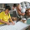 Bolas de Golfe para Prática de Marca, Bolas de Competição, Bolas Usadas, Bolas de Marcas Diversas, Suprimentos de Golfe de Baixo Preço
