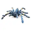 Figurilla de Araña Comiendo Higo Pájaro Azul Brasileño Modelo Realista de PVC Juguete Educativo de Insecto para Niños Figura de Araña Realista para Aprender Decoración del Hogar un