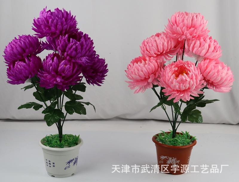 IMG_9555_副本.jpg