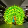 Escultura de Fibra de Vidrio Luminosa para Exteriores con Forma de Pavo Real Parque de Turismo Cultural Decoración del Paisaje Lámpara de Pavo Real Simulada