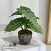 6 Macetas Artificiales de Plantas Verdes para Decoración Creativa de Interiores del Hogar, Accesorios de Fotografía para Mesa de Sala de Estar, Bonsái de Planta Verde
