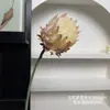 Cardo nórdico peônia artificial flocado alta qualidade macio decoração buquê floral para decoração de casa, casamento e fotografia