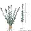 Plantas Verdes Simuladas Transfronterizas Hojas de Eucalipto Amazon Plantas Simuladas Venta al por Mayor Hojas de Eucalipto Decoración para el Hogar Boda