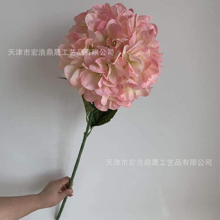 e56ec4cc2118e419126f8ded208cce