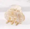 Novo Estilo Coreano Prendedor de Rabo de Cavalo Acessórios de Cabelo Celebridade da Internet Pinça Versátil de Ácido Acético Feminina Garra de Cabelo Elegante de Comércio Exterior da Amazon