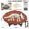 Juguete de Huesos de Dinosaurio Modelo Fósil de Dinosaurio Jurásico Transfronterizo Pterosaurio Brachiosaurus Tyrannosaurus Rex Stegosaurus