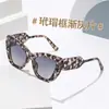 Gafas de Sol Ojo de Gato Moda Protección Solar Gafas de Sol Ins Transfronterizas Europeas y Americanas Marco Grande Viaje Gafas de Sol Anti-UV
