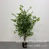 Árbol de Banyan Pequeño Borde Blanco Simulación Árbol de Banyan Rama Real Árbol Falso Artificial Hotel Interior Planta Verde Grande Planta en Maceta Adornos Decorativos
