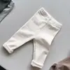 Leggings Lisos Infantis 26 Outono Novo Estilo Calça Comprida Elástica para Meninas Estilo Coreano Elegante Versátil Múltiplas Cores