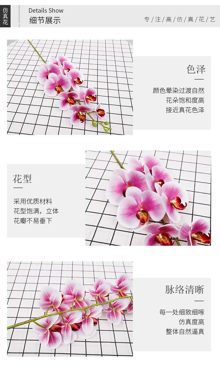 3d6头小兰花_05.jpg