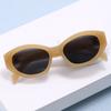 Gafas de sol de moda para mujer, tamaño pequeño, para fotografía callejera, para conducir y viajar, LP5513