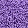 450G/Paquete Cuentas de Arroz Pintadas de Colores Cuentas de Vidrio Cuentas Sueltas Accesorios para Joyería DIY Joyería Hecha a Mano Materiales para Enhebrar