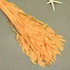 Flor mágica hierba de la pequeña esperanza eterna ramo flor real Natural Alto sentido ins estilo nórdico sala de estar decoración jarrón Flor eterna