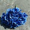 Viento de océano azul flores de simulación para boda al por mayor azul oscuro azul zafiro azul bruma blanco boda camino guía techo flores falsas