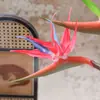 Flor artificial de Strelitzia reginae simulada con textura de goma suave, decoración para sala de estar del hogar, adorno para arreglos florales, accesorio de fotografía