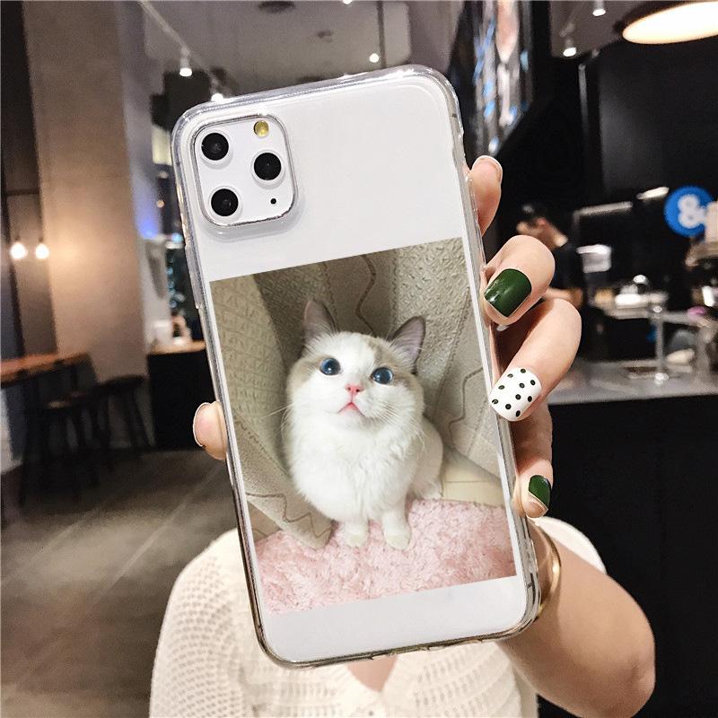 1 (8).jpg