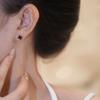 Aretes Exquisitos de Alta Gama de Trébol de Cuatro Hojas con Aguja de Plata S925 para Mujer Borla Moda Simple Versátil Aretes de Cadena Larga para Mujer