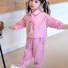 Conjunto Infantil de Primavera com Desenho Animado 2025 Novo Moletom Casual Moda Esportiva Infantil Conjunto de Duas Peças para Bebê