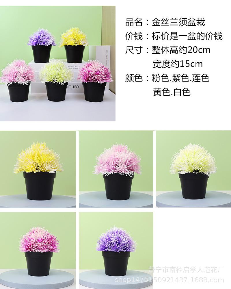 未标题-2.jpg