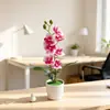 Día de Año Nuevo Top Grande Fondo Pequeño 7 Orquídeas Phalaenopsis Bonsái Decoración de Jardín para el Hogar Flor de Simulación Planta Verde Planta en Maceta Adorno