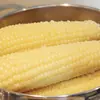 Maíz ceroso blanco del noreste, mazorca de maíz dulce y pegajosa, sellado al vacío para frescura, sin OGM, comida completa de grano entero fresca, maíz listo para comer