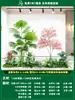 Paisagismo de Planta Artificial Varanda Arranjo de Paisagem Escada Interna Sob Árvore de Flores Artificiais Decoração Biomórfica Planta Verde Paisagismo Combinação