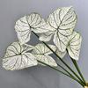 Impresión 3D de hojas de taro a color, simulación de plantas verdes, paisaje, decoración del hogar, hojas de taro, hojas de begonia, hojas de taro a color, accesorios de fotografía