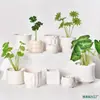 Estilo Cream Transfronteiriço Luxo Acessível Em Vasos de Cerâmica Florais Pequenos Brancos Criativos Simples Para Plantas Verdes de Interior Decoração de Casa