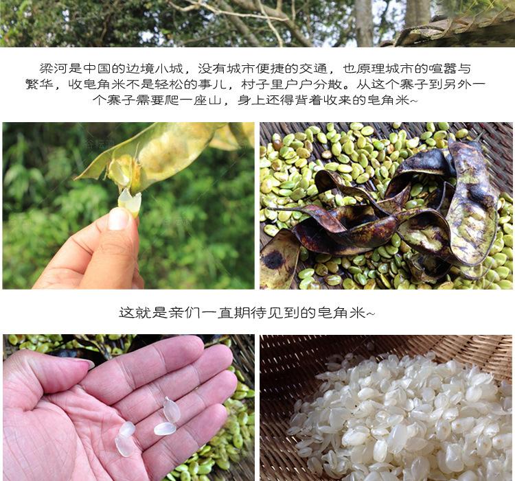 双荚皂角米优化_07