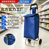 En stock Carrito Pequeño para Compras de Verduras en Casa Actividad de Supermercado Carrito Plegable Portátil con Asa Carrito de Compras para Personas Mayores