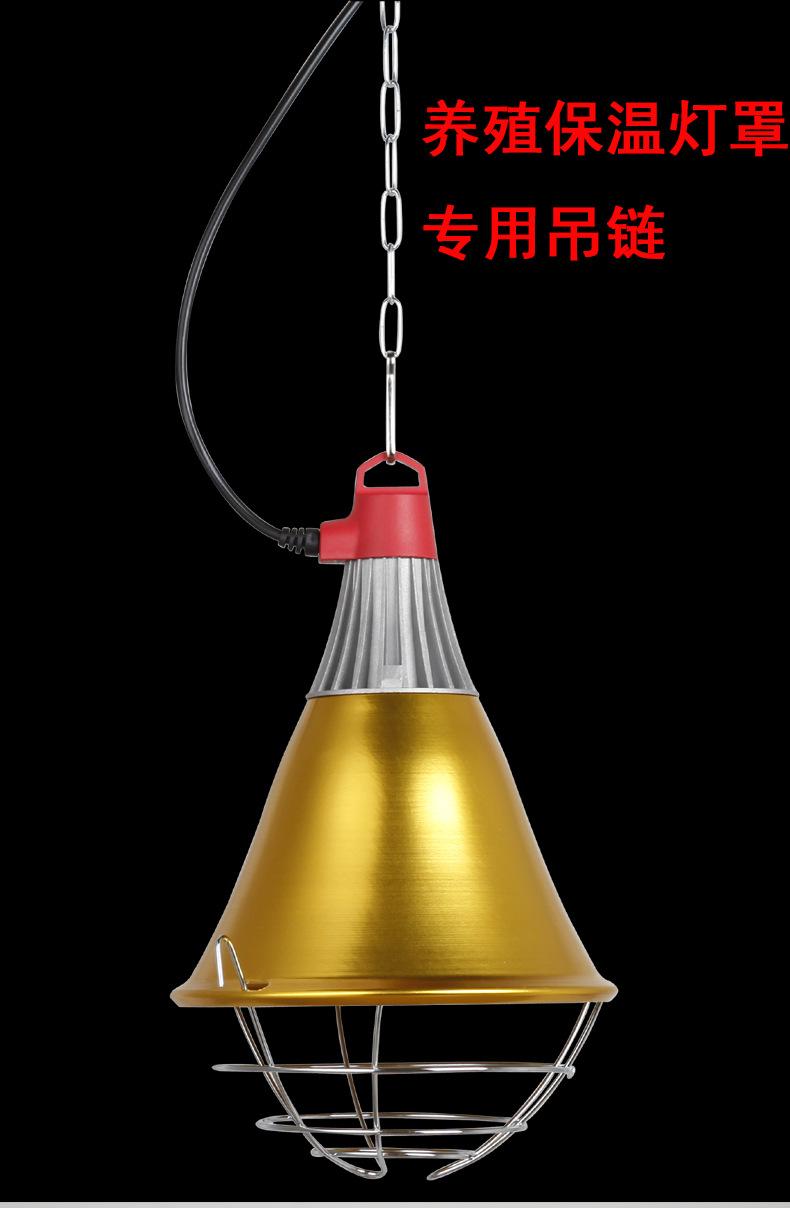 未标题-2_01.jpg
