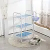 Carrinho de beleza para salão de beleza Suporte para instrumentos de bolha europeus Barbeiro Tatuagem Arte em unhas Ferramenta de ventosaterapia de ferro Frete grátis