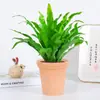 Helecho Nido de Pájaro Helecho en Maceta Planta de Interior Verde Plantas Florales Sala de Estar Oficina Escritorio Planta Novedosa Perenne Todo el Año