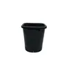 Vaso Quadrado para Suculenta Echeveria 'Hortula', Vaso de Plástico, Branco e Rosa