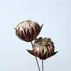 Bolas de Flor de Magnolia Seca, Adornos para Muebles, Arreglos Florales Artísticos, Flores Hechas a Mano, Flores Conservadas, Accesorios para Fotografía, Decoración del Hogar, Nuevo Estilo Chino