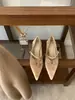 Sapatos Mary Jane Femininos Bico Fino Salto Anabela Estilo Francês, Nova Coleção Outono 2026