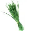 Venta al por mayor de fábrica plumas de seda unilaterales 10-17 cm diseño de graduación joyería DIY tocado manualidades creación diy