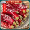 Gipsófila Chile Siete Estrellas 500g Chile Seco Extra Picante Fragancia Chile de Sichuan Chile de Aceite Rojo Suministro de Primera Mano