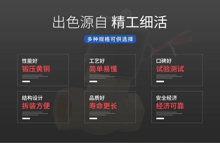 蒸汽阀