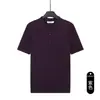 Camisa polo de punto para hombre de verano, sensación de lujo ligero y alta gama, color liso, cuello de solapa, camiseta de manga corta, top holgado de estilo business casual