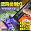 Luz UV para Identificación de Verduras, Solución de Burdeos, Bolígrafo Detector de Alumbre Azul, Linterna de 365nm, Agente Fluorescente, Luz Ultravioleta