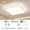 Fsl Foshan Iluminación LED Moderna Minimalista y Elegante para Sala de Estar y Dormitorio Luz de Techo Inteligente para Protección Ocular Set de Iluminación para Toda la Casa