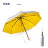 70% de desconto Guarda-chuva Manual Cabo de Madeira Prata Titânio Plástico Guarda-chuva Proteção Solar Guarda-chuva UV Chuva ou Sol Guarda-chuva Parasol Feminino Atacado