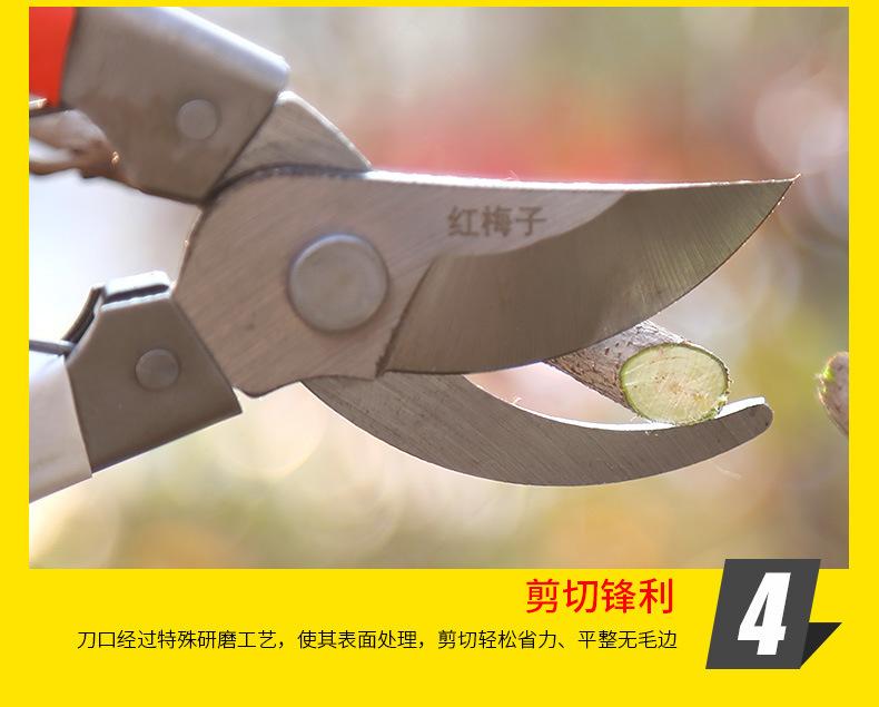 详情-12.jpg