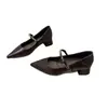 Zapatos de Salón de Punta Fina Estilo Francés para Mujer, Nuevos Zapatos Mary Jane de Tacón Bajo Otoño 2026, Zapatos de Viaje Estilo Francés para Combinar con Faldas, Zapatos de Boca Baja para Mujer
