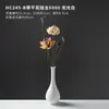 Ramos de flores secas, adornos decorativos de flores reales, flores de loto secas, capullos de loto, raíces de loto naturales, arreglos florales inspirados en Zen, decoraciones para sala de estar chinas.